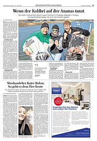 Region Mittelsachsen